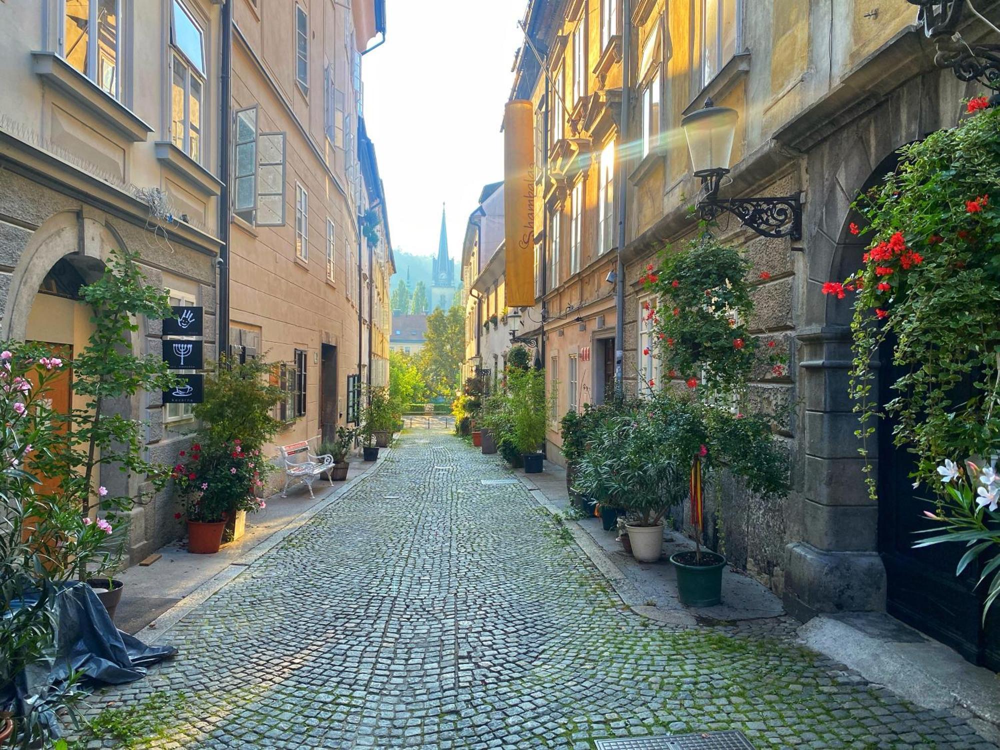 1Br Apartment On The Most Beautiful Street In Ljubljana Center Exterior photo